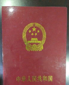 专业的人做专业的事 房产代办过户与按揭手续全解析